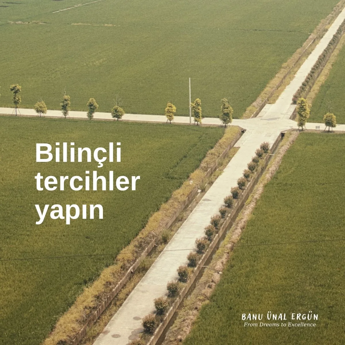 Bilinçli tercihler yapın