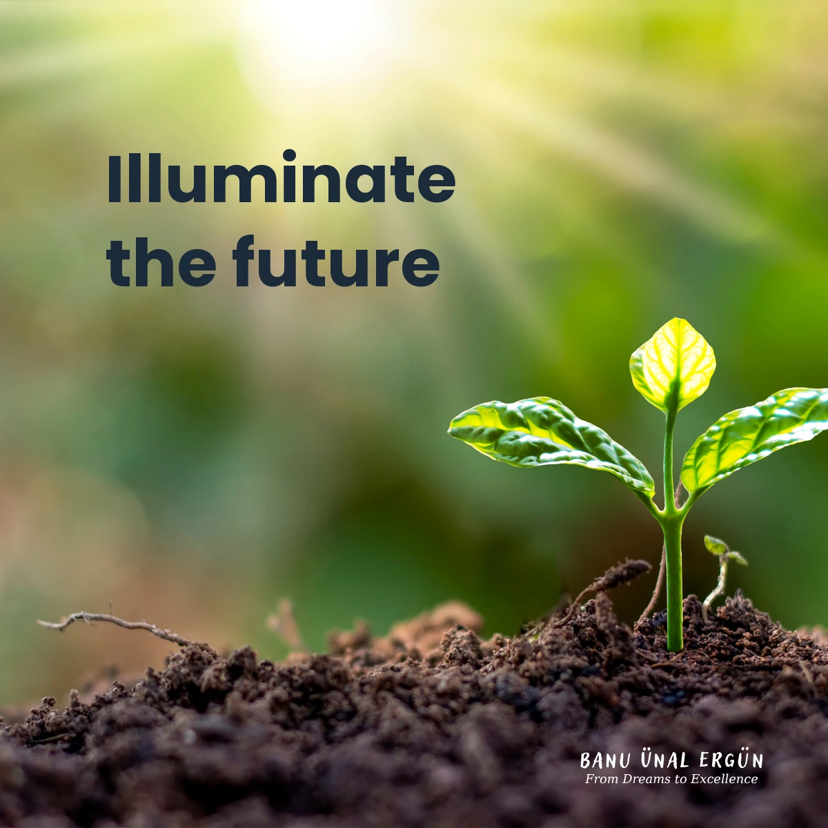 Illuminate the future